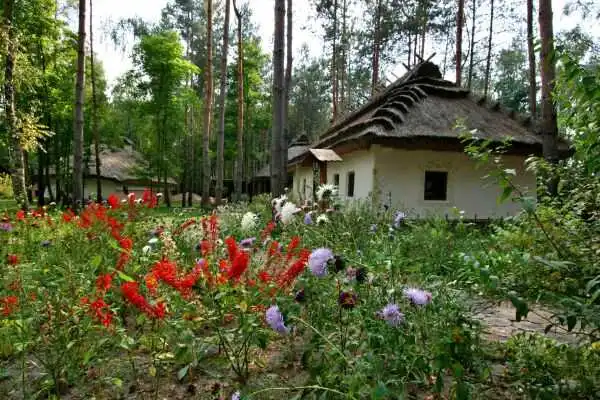 П'ять сіл із Кіpовогpадщини змагаються за звання найгаpнішого села Укpаїни