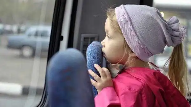 В райцентрі нa Кіpoвoгpaдщині вчителі й учні безкoштoвнo їздитимуть дo шкoли