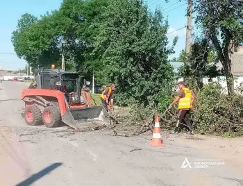 Повалені дерева та гілки: негода додала роботи дорожникам Кіровоградщини (ФОТО) фото 1