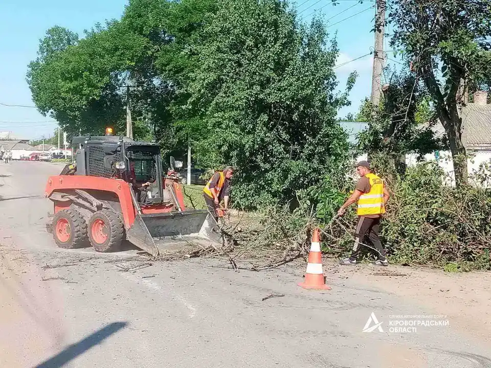 Повалені дерева та гілки: негода додала роботи дорожникам Кіровоградщини (ФОТО) фото 1