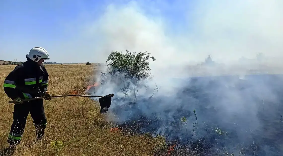 пожежа на відкритій території