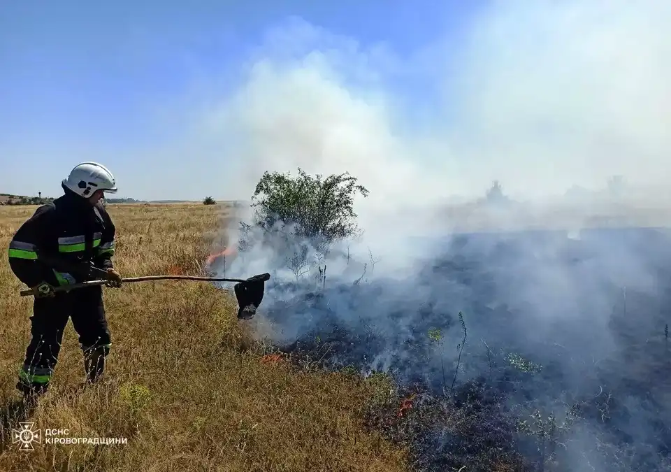пожежа на відкритій території