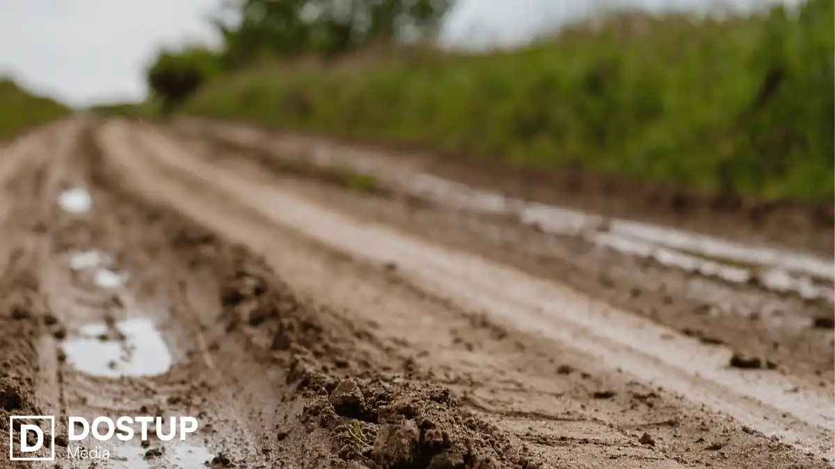 Рештки тіла жінки знайшли у лісосмузі в Кіровоградській області