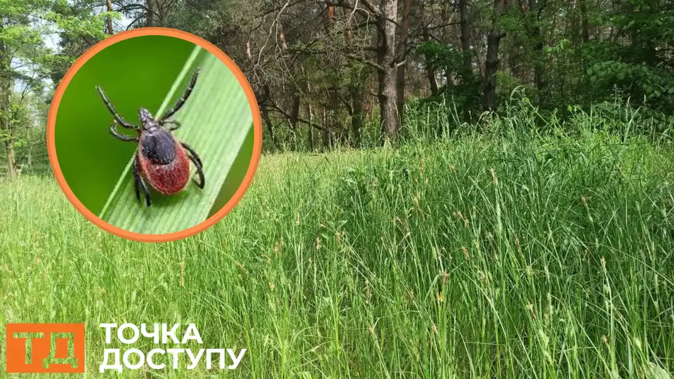 від кліщів обробляють зелені зони у Кропивницькому