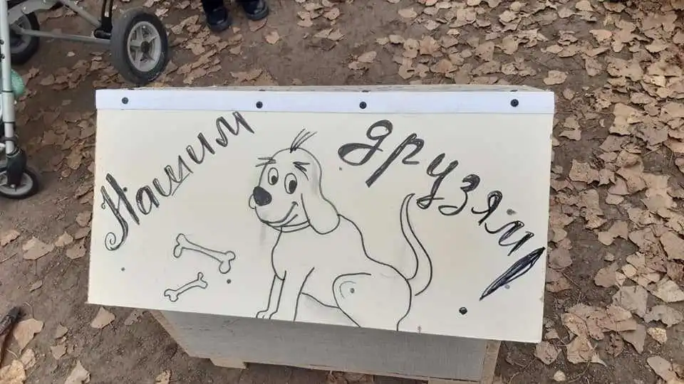 У Кропивницькому діти з інвалідністю підготували подарунки притулку для тварин (ФОТО)