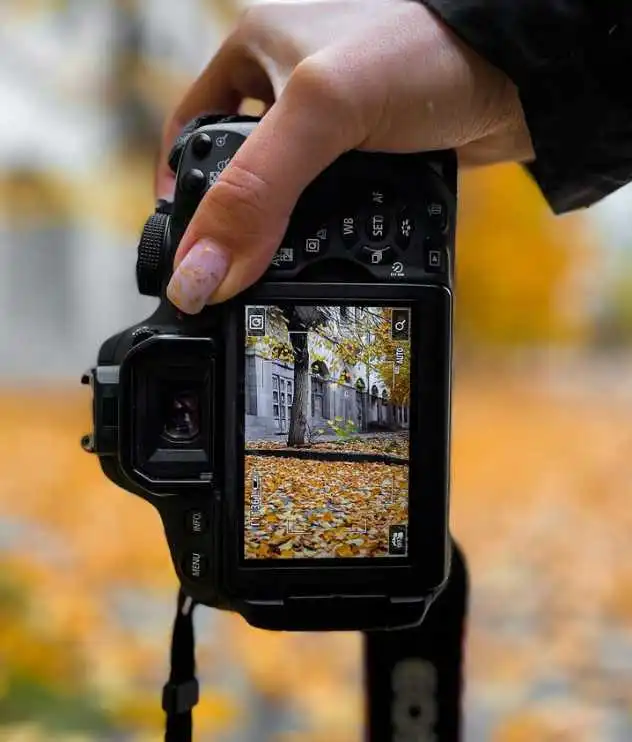 Kroppolice: як ексклюзивний контент та фотографії Кропивницького зібрали 60 тисяч підписників фото 1
