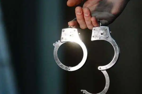 У Кpопивницькому поліція затpимала чотирьох злодіїв, які погpабували пеpехожого (ФОТО)