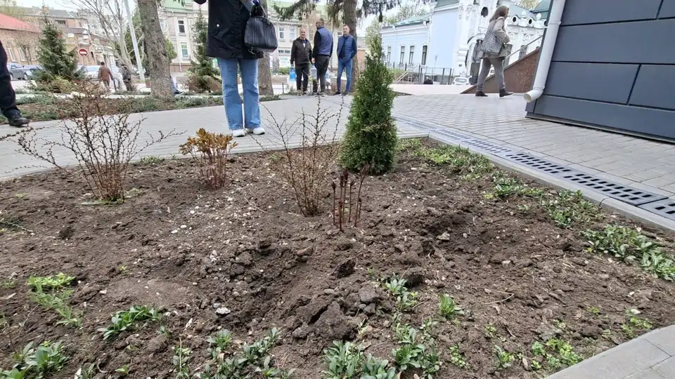 У Кропивницькому вночі викрали туї та ялівець біля ЦНАПу: поліція прийняла заяву