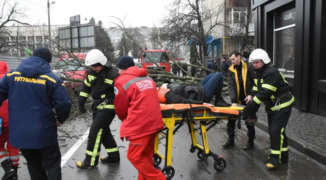 У Кропивницькому через пориви вітру на жінку впало дерево (ФОТО) фото 1