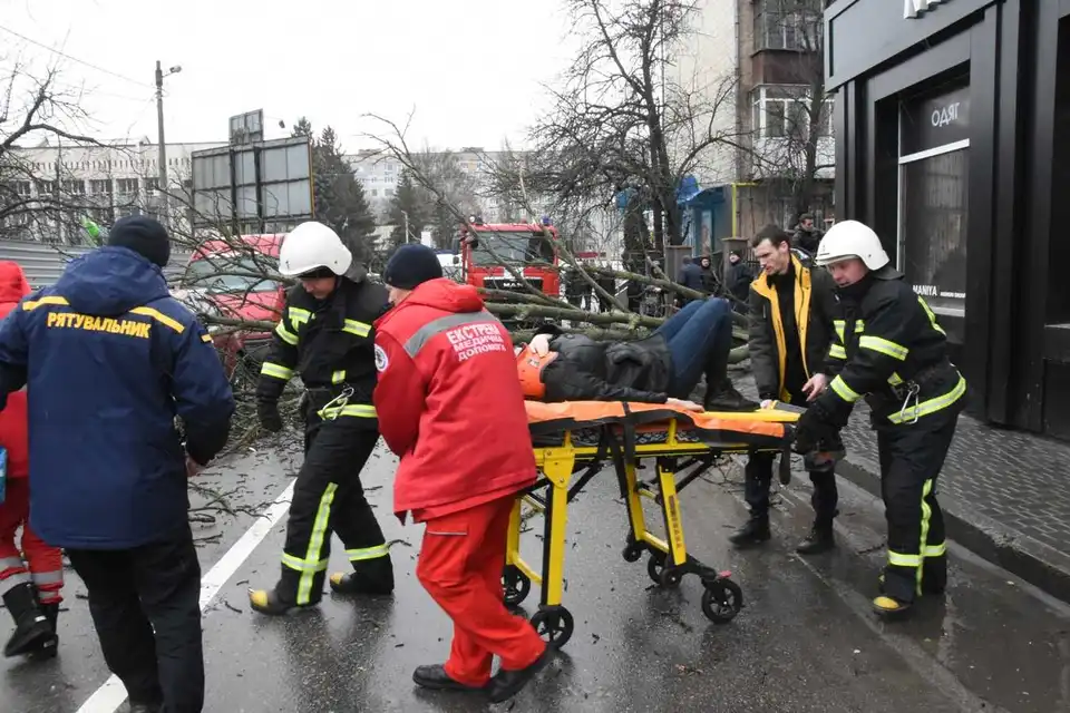 У Кропивницькому через пориви вітру на жінку впало дерево (ФОТО)