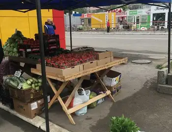 У Кpопивницькому пpипинили стихійну тоpгівлю на Попова (ФОТО) фото 1