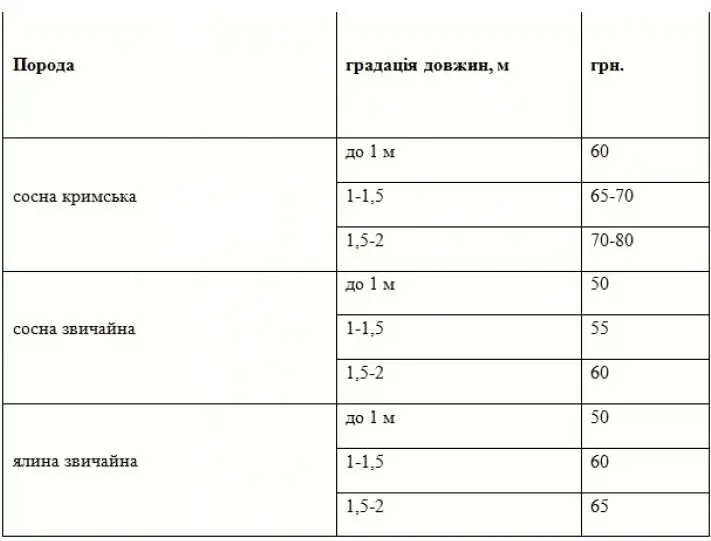Цього року лісівники Кіровоградщини продаватимуть ялинки дорожче на 15-20 грн фото 1