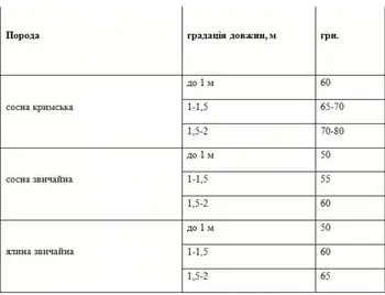 Цього року лісівники Кіровоградщини продаватимуть ялинки дорожче на 15-20 грн фото 1