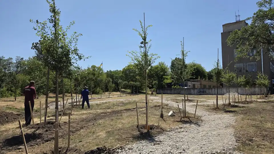 висадили дерева на Соборній