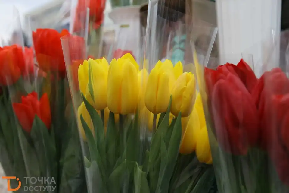 Передсвяткова метушня до 8 березня у Кропивницькому (ФОТОРЕПОРТАЖ)