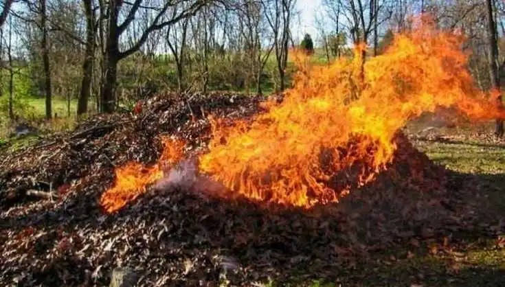У Кропивницькому посилять контроль за паліями листя