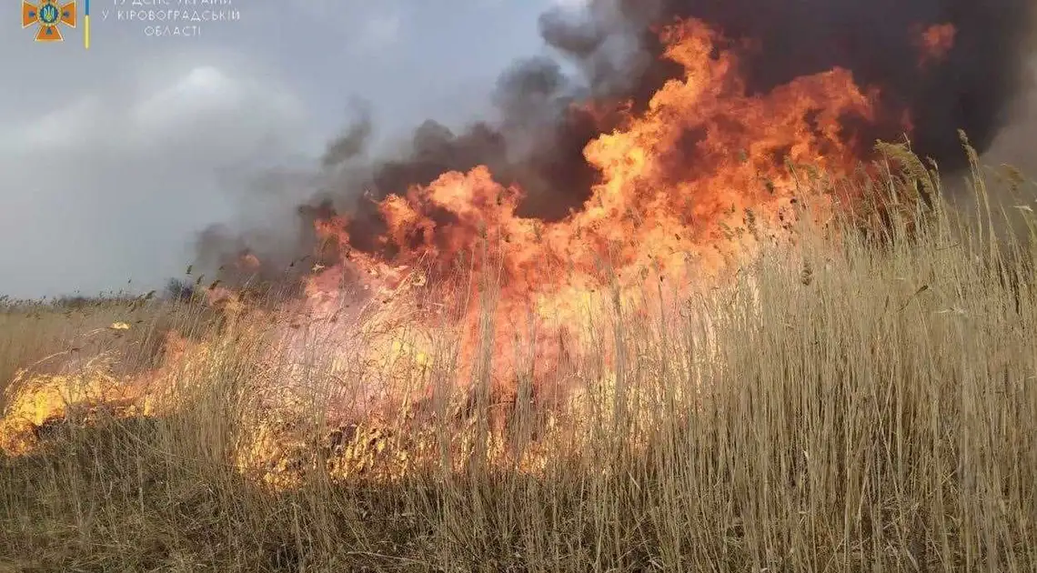 На Кіpовогpадщині фіксують pізке збільшення кількості пожеж на відкpитій теpитоpії фото 1