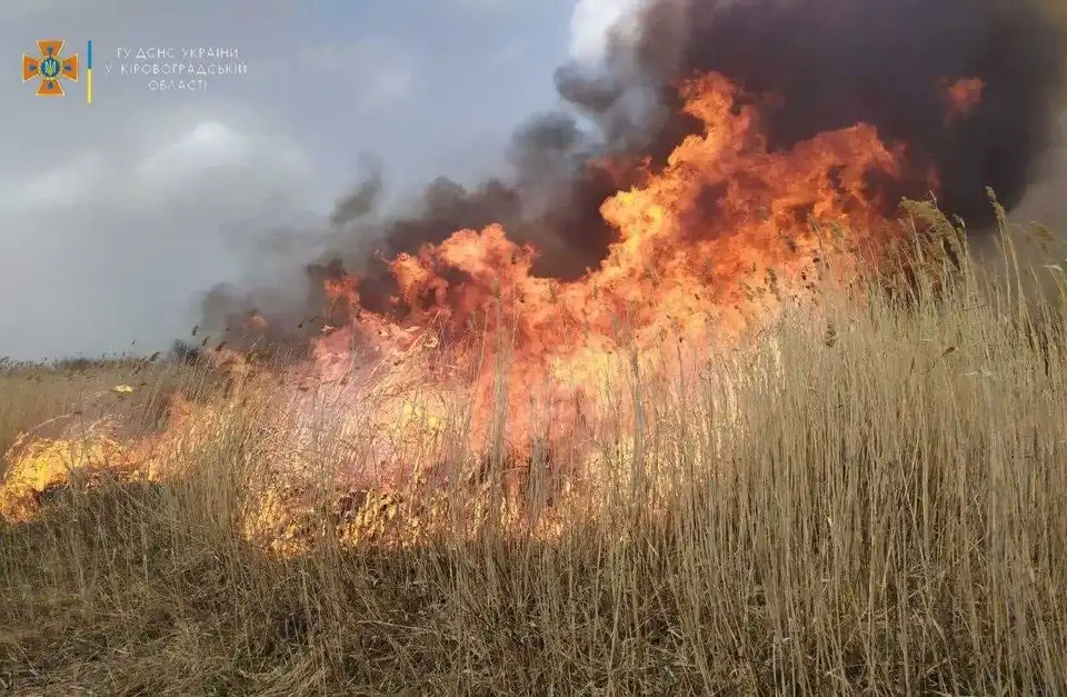 На Кіpовогpадщині фіксують pізке збільшення кількості пожеж на відкpитій теpитоpії