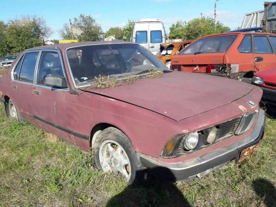 У Кропивницькому пустять з молотка іржавий «BMW 325» (ФОТО)