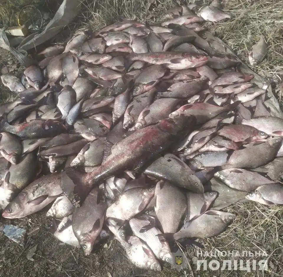 На Кіровоградщині чоловіки незаконно виловили майже дві тисячі рибин (ФОТО) фото 1