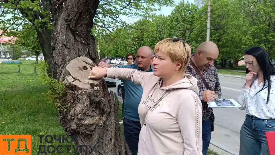 Дерева на Соборній
