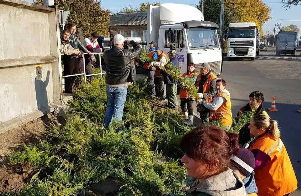 Біля новозбудованої Арки в Кропивницькому висадять понад тисячу кущів ялівцю (ФОТО)