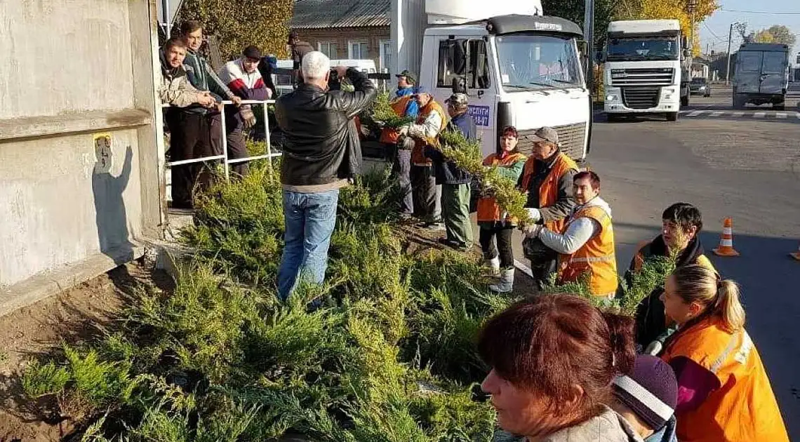 Біля новозбудованої Арки в Кропивницькому висадять понад тисячу кущів ялівцю (ФОТО) фото 1