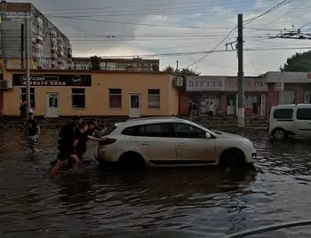 Повалені дерева та затоплені двори: у Кропивницькому пройшла сильна злива (ФОТО) фото 1