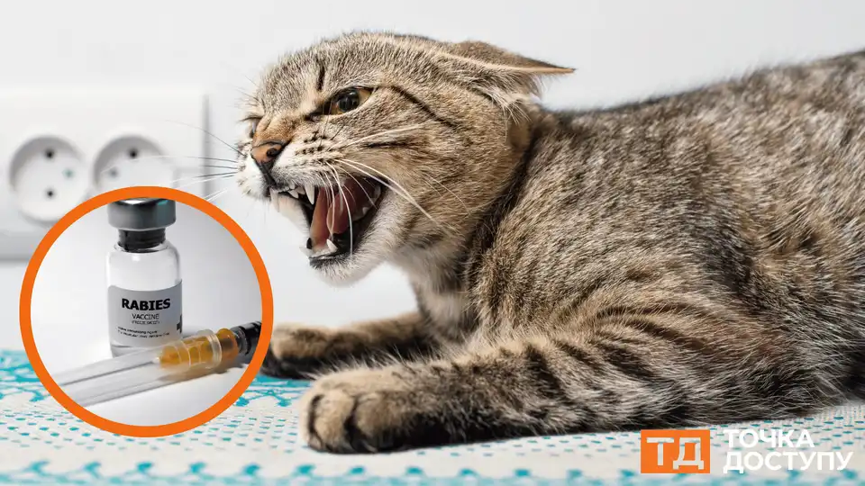 Випадків сказу у Кіровоградській області серед тварин більшає