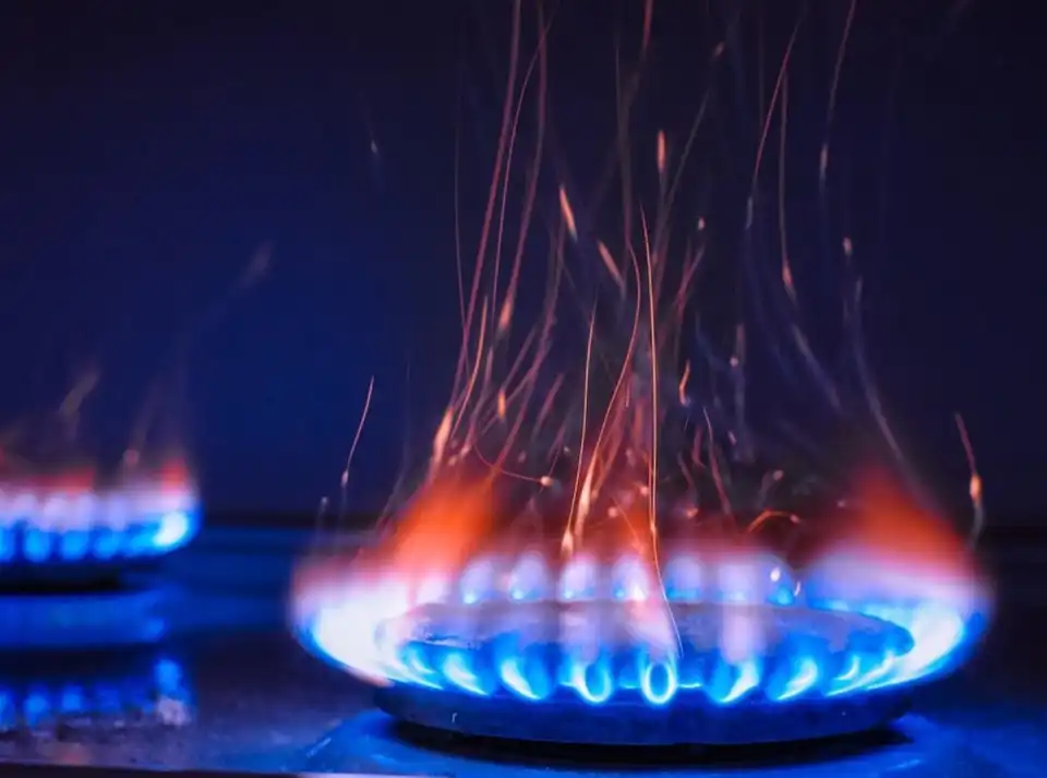 отруїлися газом
