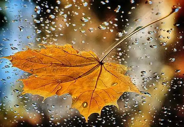 Штормове попередження: на Україну чекає різка зміна погодних умов