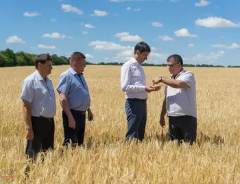 Як фермери Кіровоградщини заробляють на сонячній енергії (ФОТОРЕПОРТАЖ) фото 1