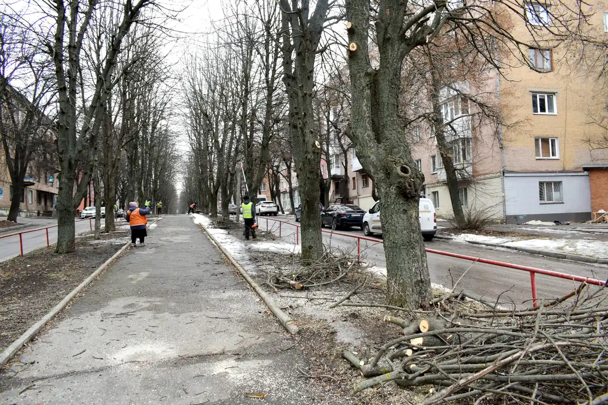 Облаштування Алеї пам'яті в Кропивницькому