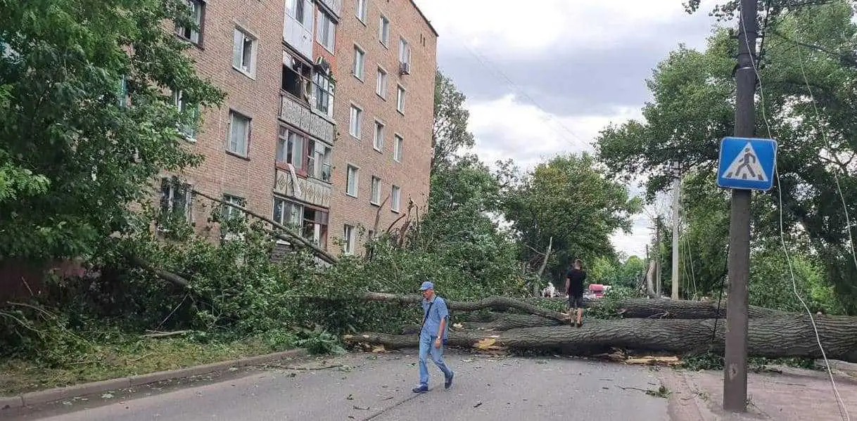 В Олександрії тополя впала на багатоповерхівку: пошкоджені вікна та балкони (ФОТО) фото 1