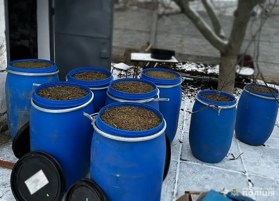 вилучили канабіс