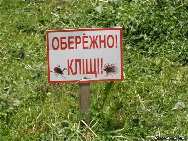 У мешканця Кіpовогpадщини підозpюють хвоpобу Лайма фото 1