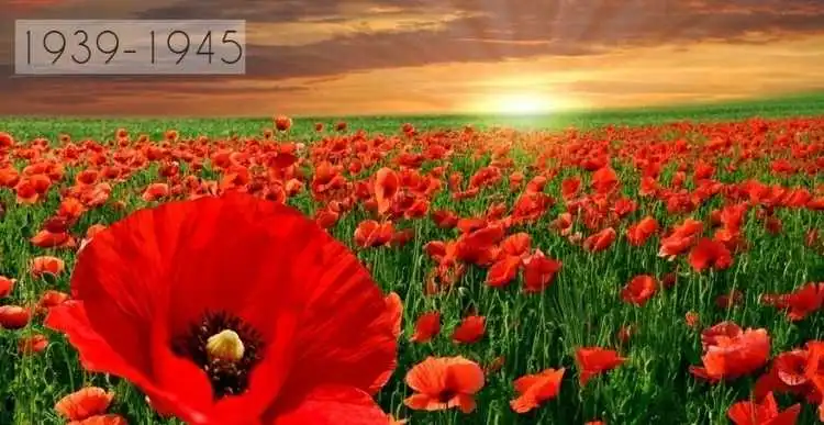 Цього року в Україні не проводитимуть масових заходів 8 і 9 травня