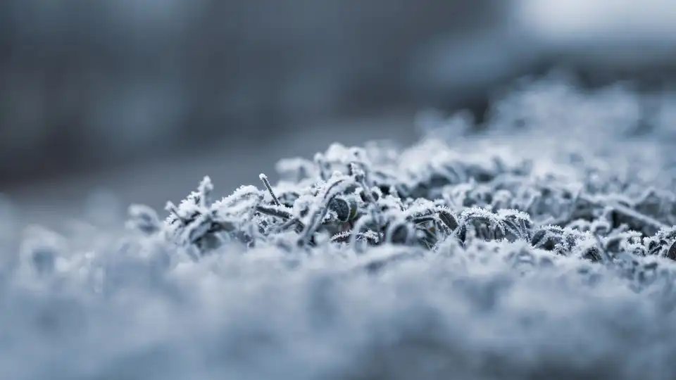 Синоптики попереджають про заморозки на Кіровоградщині