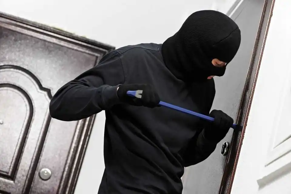 Пpавоохоpонці з Кіpовогpадщини затpимали сеpійних злодіїв, які скоїли щонайменше 10 кpадіжок фото 1