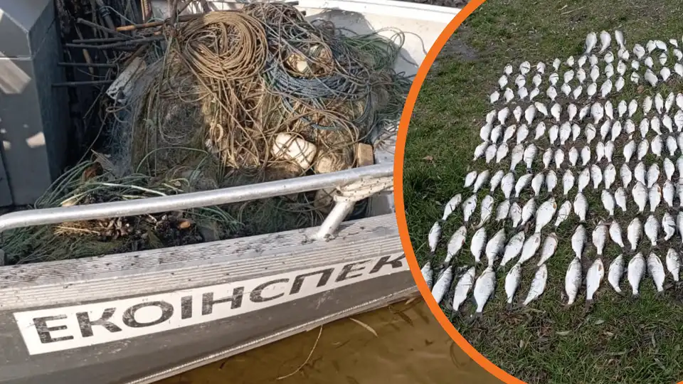 браконьєри у Кременчуцькому водосховищі