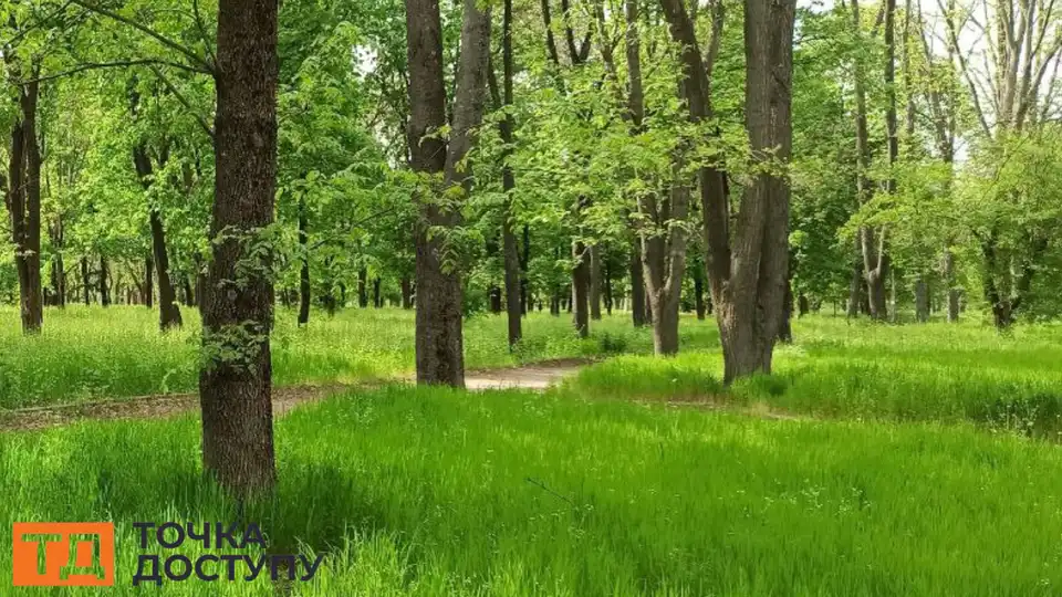 тіло чоловіка виявили у сквері в Кропивницькому
