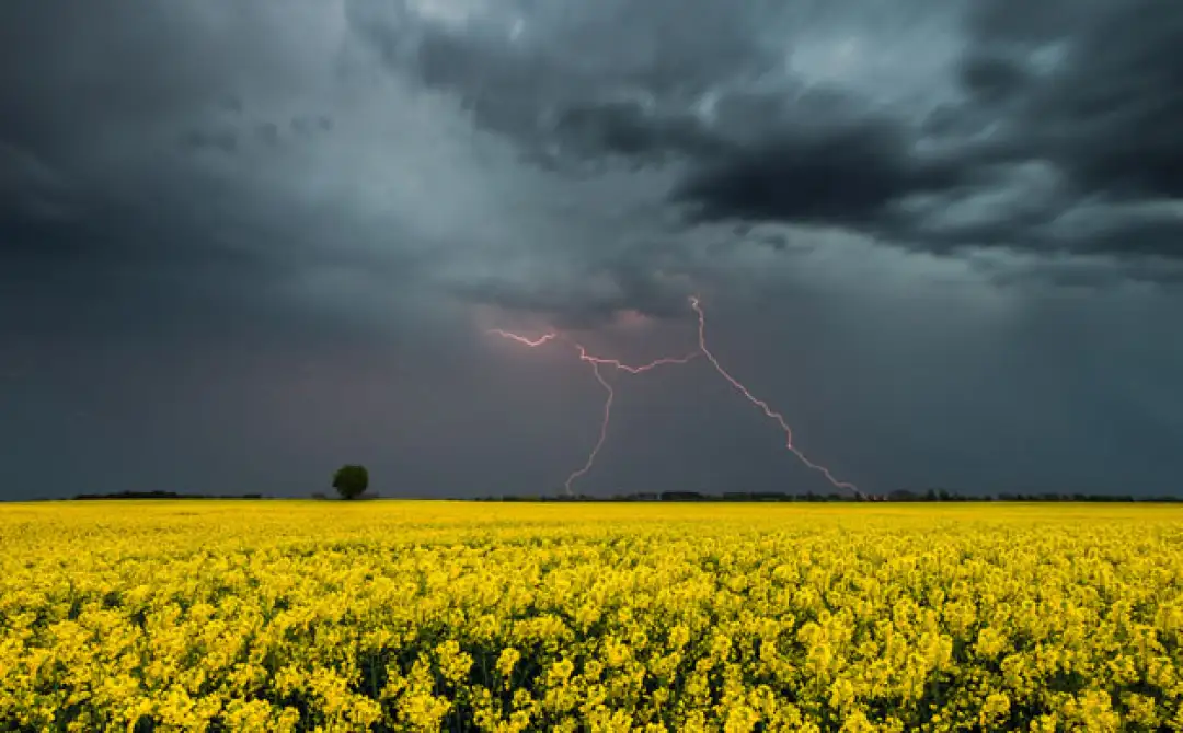 гроза у серпні