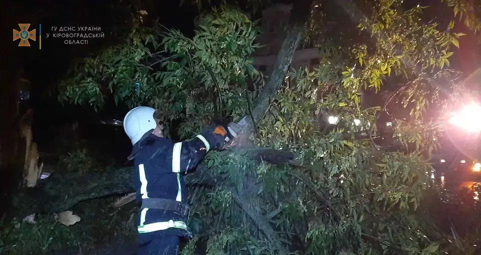 Повалені дерева й затоплені подвір’я: на Кіровоградщині ліквідовують наслідки негоди (ФОТО) фото 1