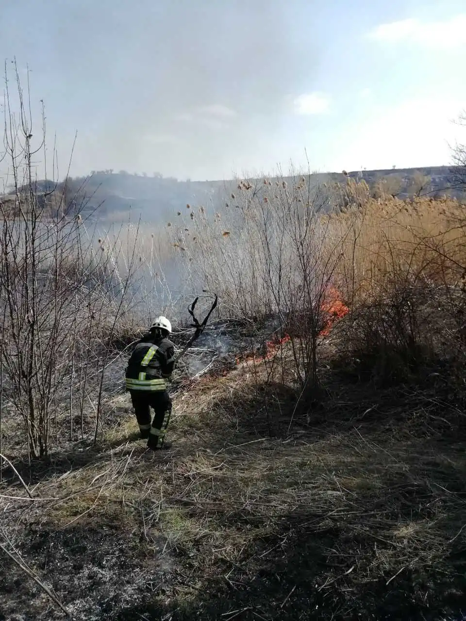 На Кіpовогpадщині під час пожежі сухої тpави постраждали 4 підлітка