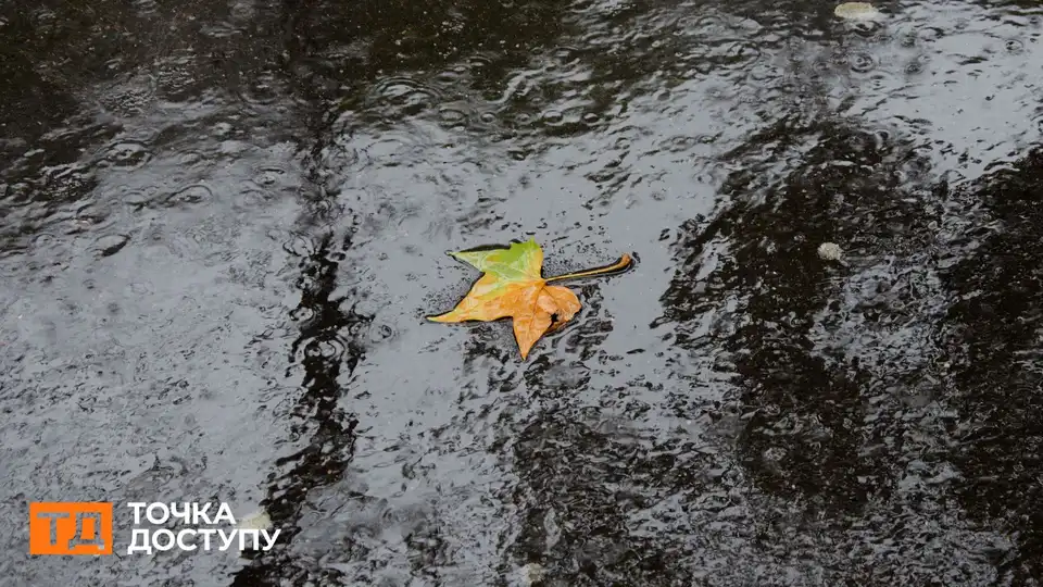 Дощ і сильний вітер прогнозують завтра на Кіровоградщині