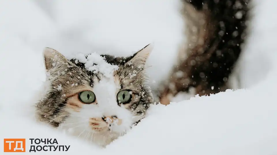 погода у Кропивницькому 31 грудня
