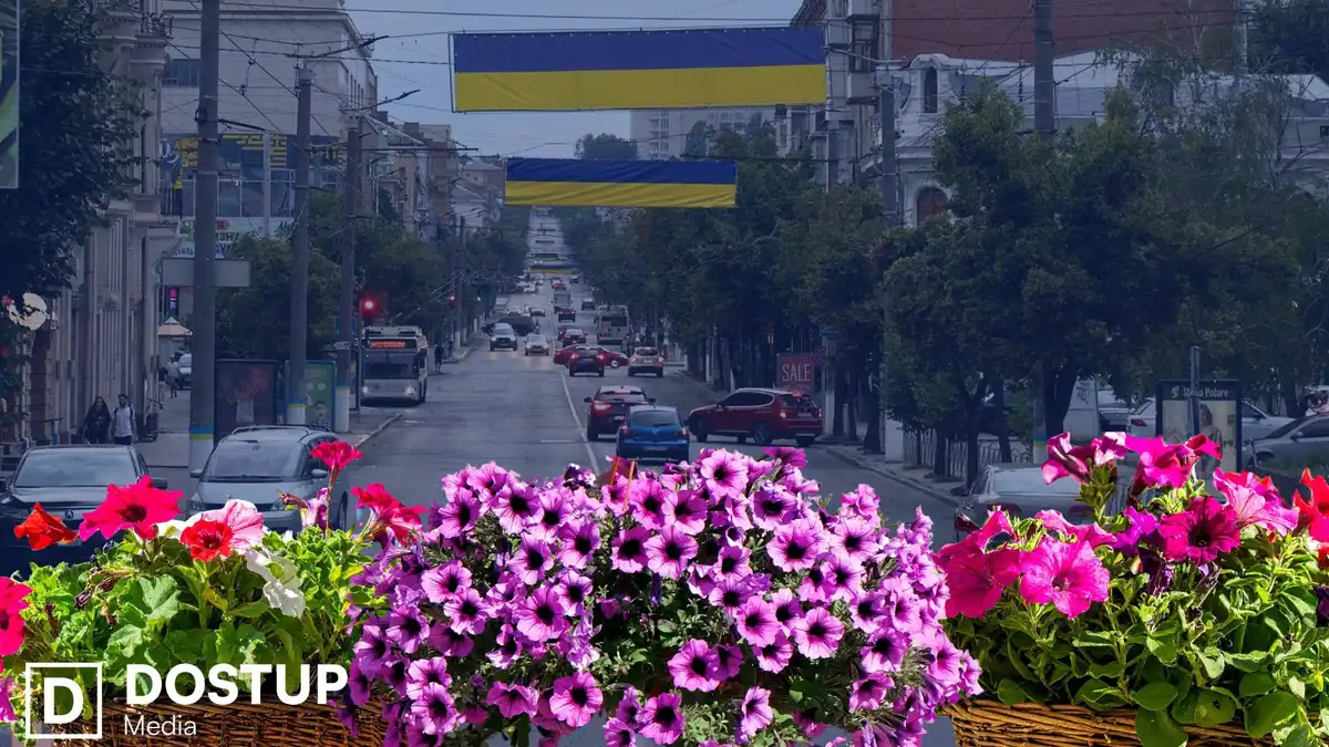 У Кропивницькому закупили понад 800 саджанців петуній