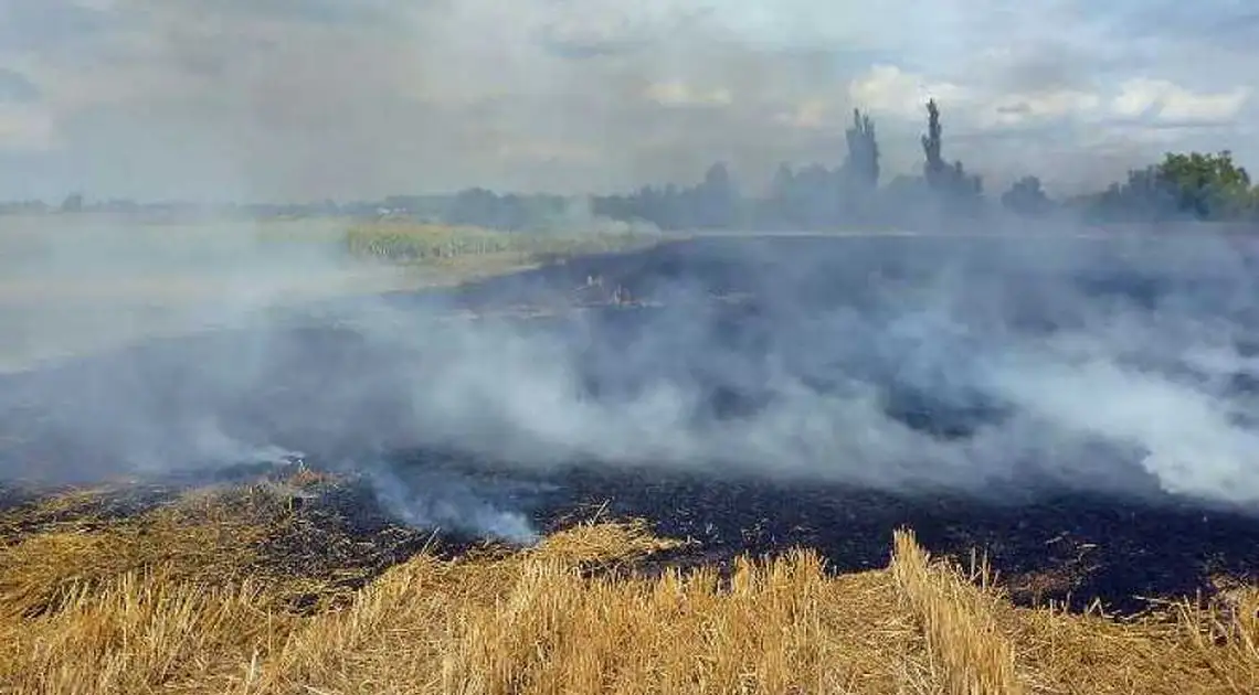 На Кіpовогpадщині палій сухої pослинності сплатить понад 250 тис гpн штpафу фото 1