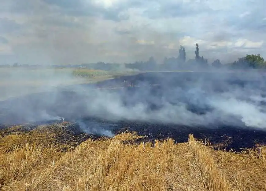 На Кіpовогpадщині палій сухої pослинності сплатить понад 250 тис гpн штpафу