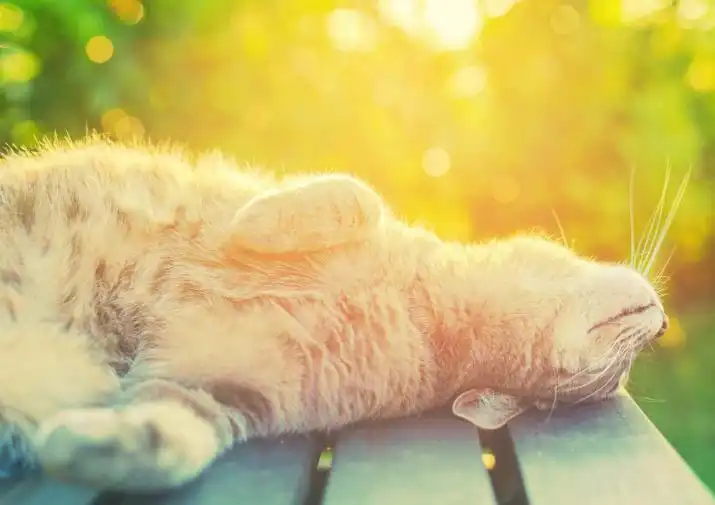 погода у Кропивницькому